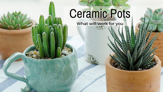 ARTSY CERAMICS