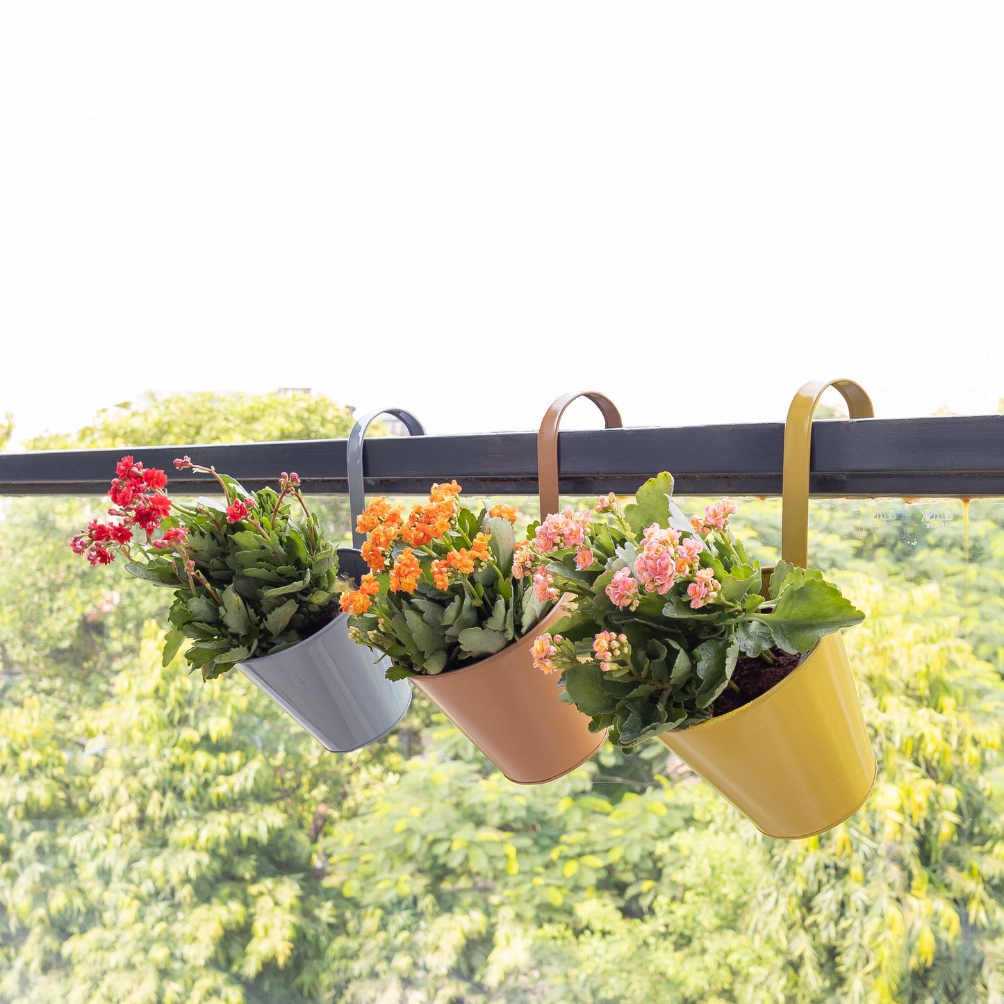 Pastel Colour 6" Railing Planters (set of 3)