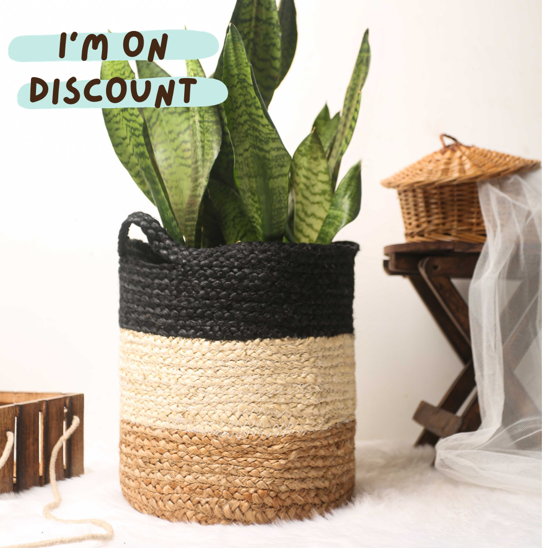 Unloved BlackBee Basket