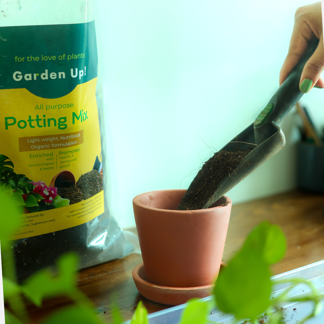 Ready Potting Soil Mix