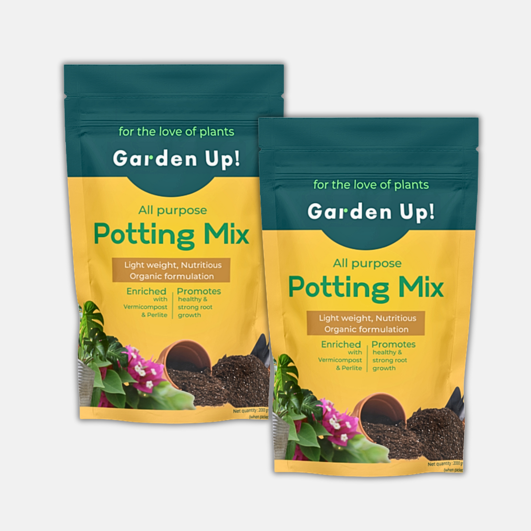 Ready Potting Soil Mix