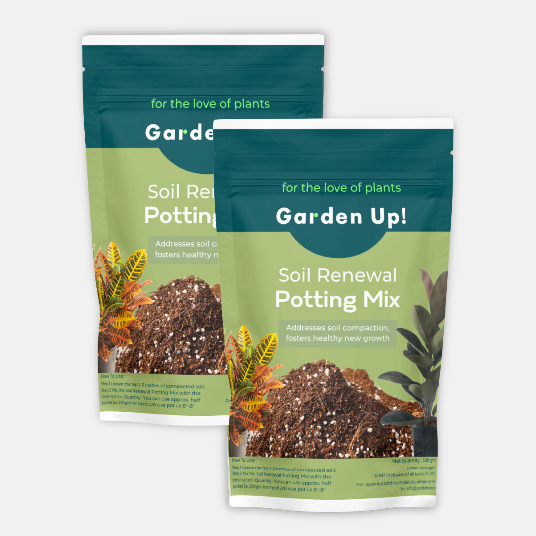Soil Renewal Potting Mix