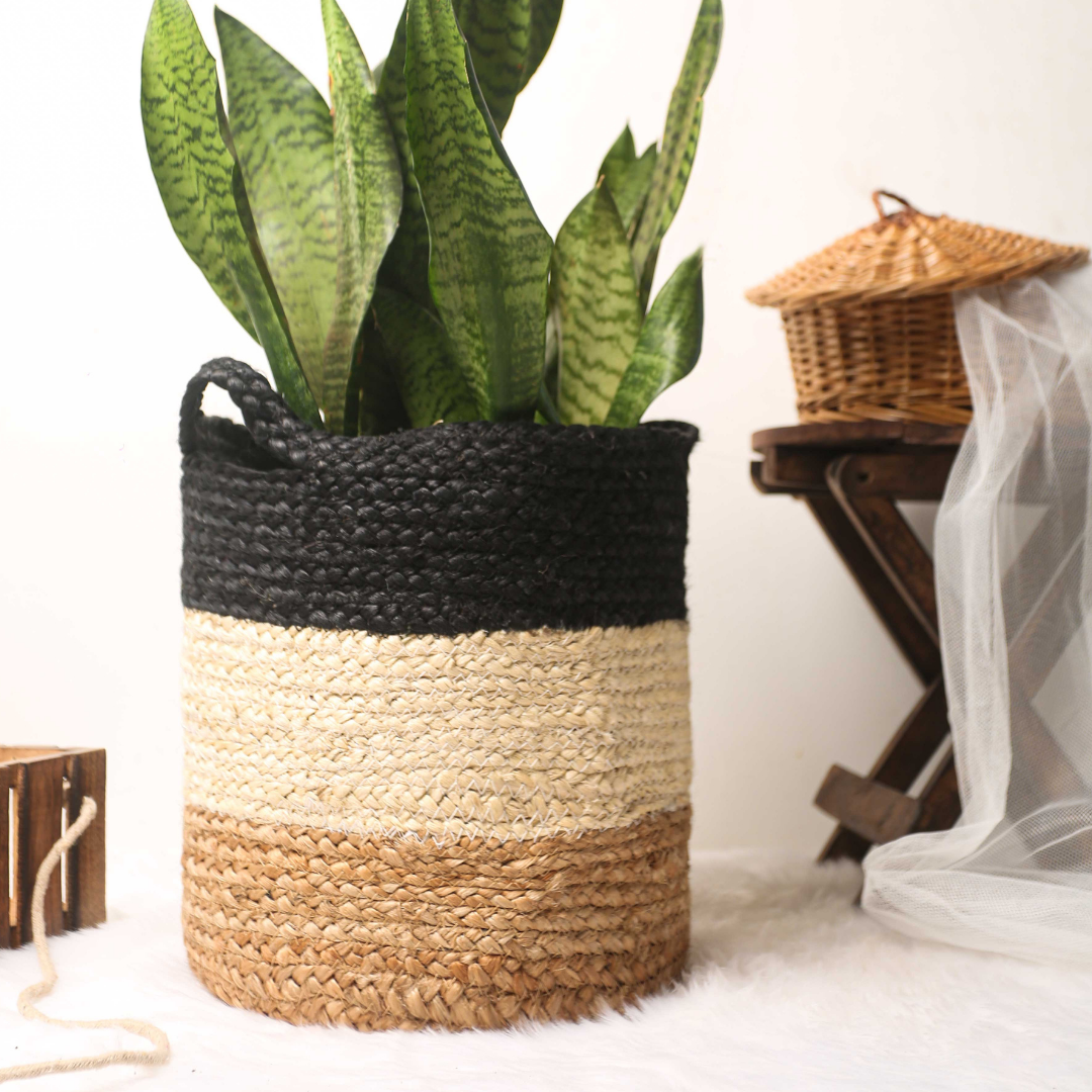 Unloved BlackBee Basket