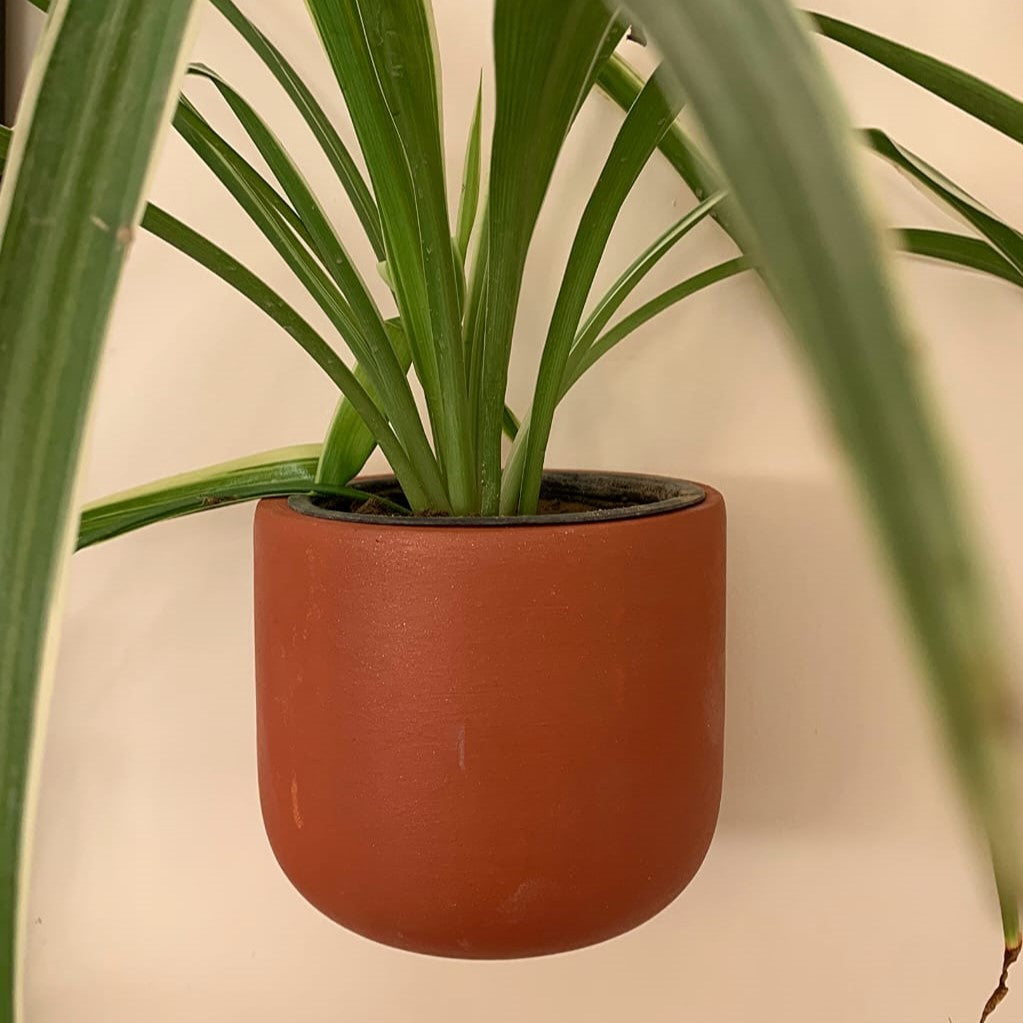 terracotta wall pots for plants Wall Mount Terracotta Pots