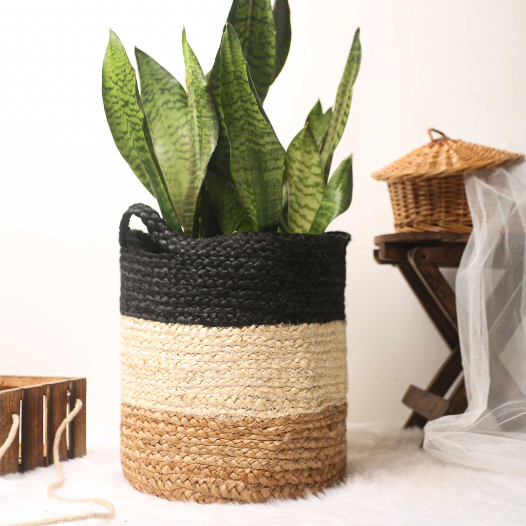 Unloved BlackBee Basket