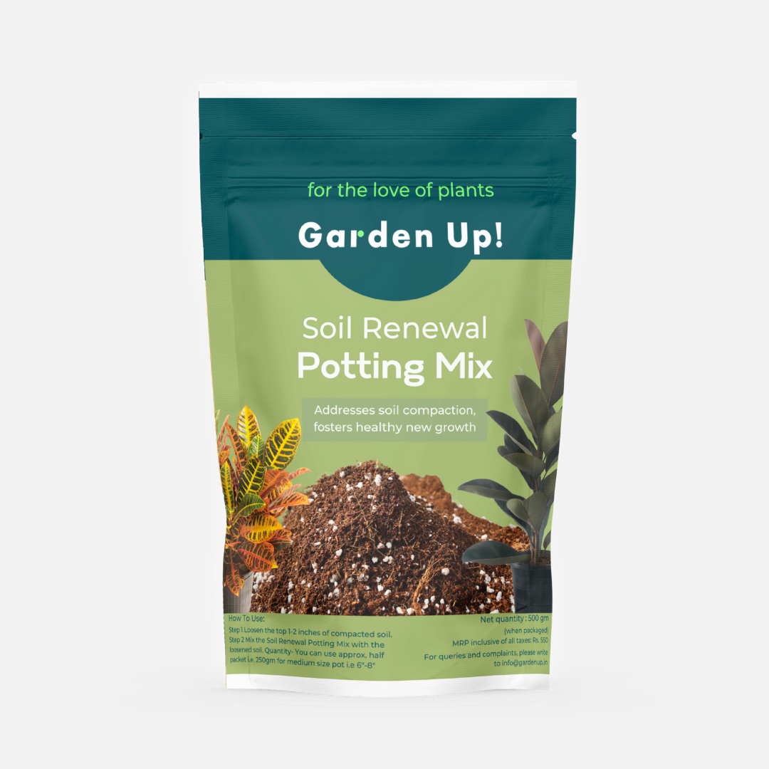 Soil Renewal Potting Mix