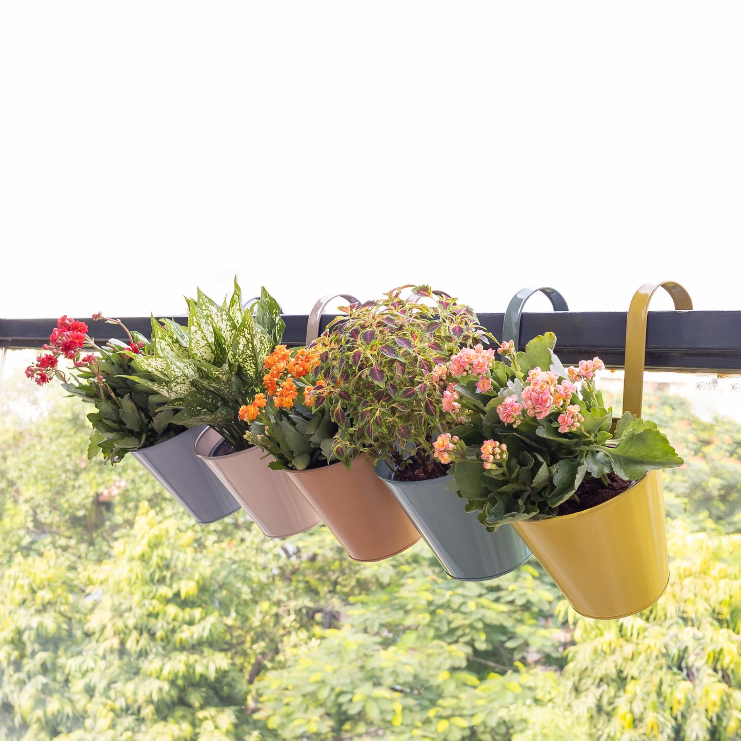 Pastel Colour 6" Railing Planters (set of 5)