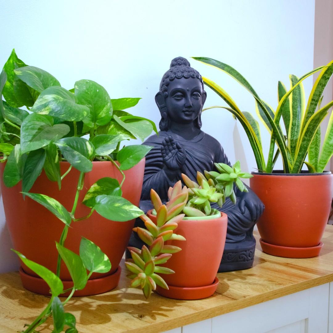 Kullad Planter Large (Set of 3)