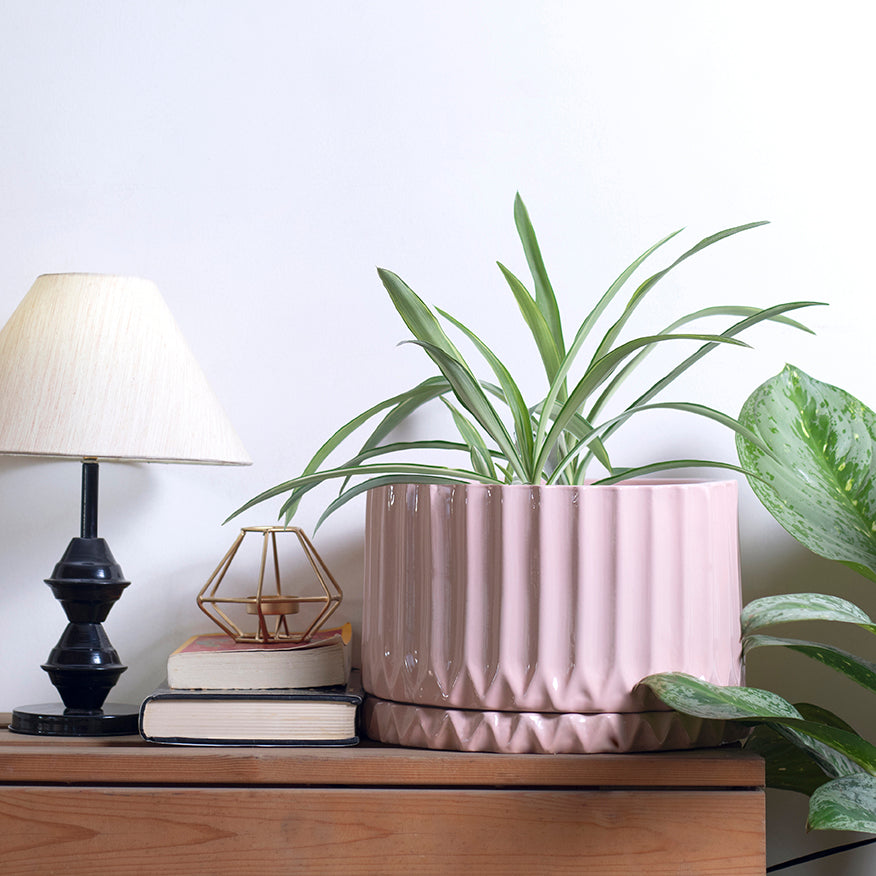 Corrugated Planter (Blush)