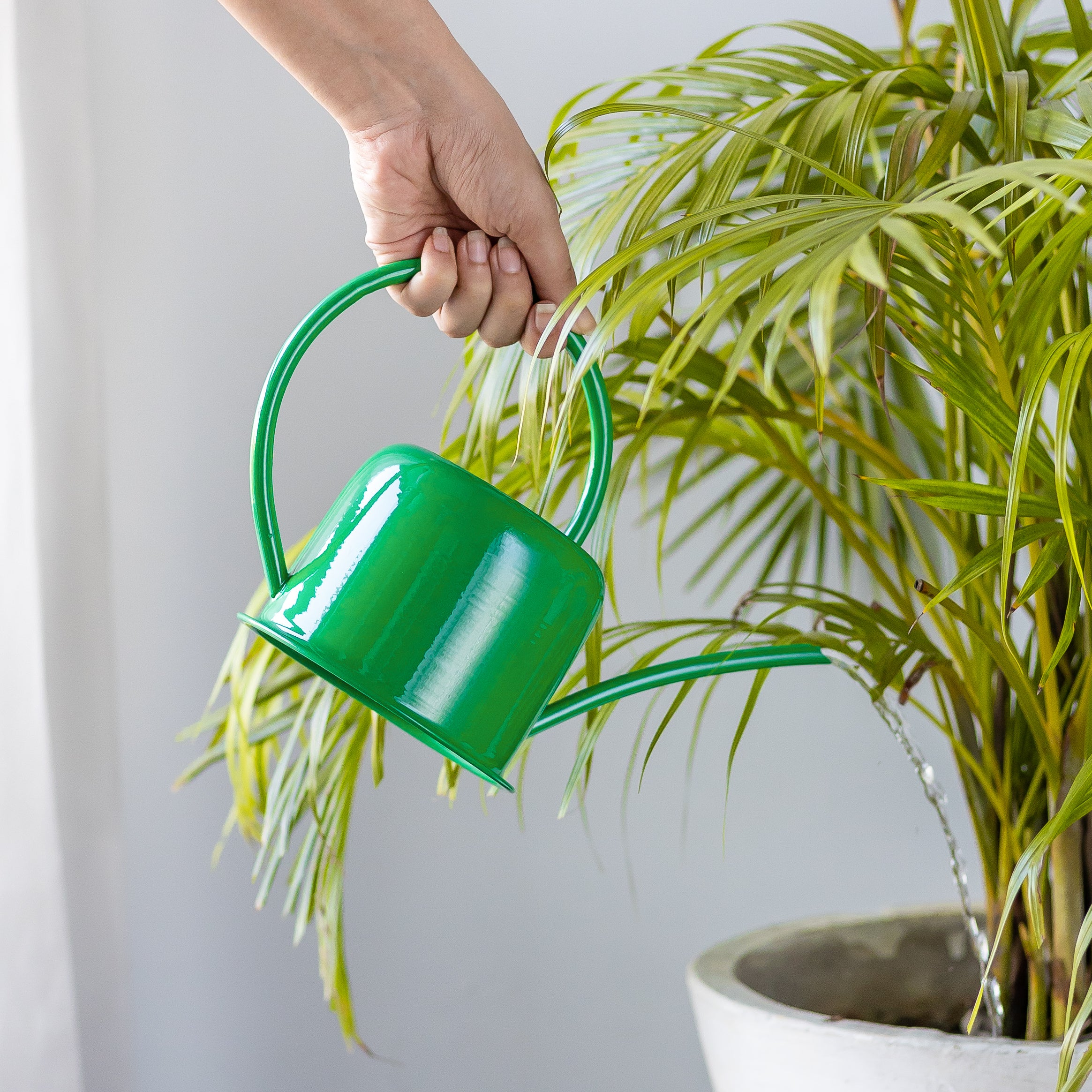 small watering can indoor plants Green Watering Can (1 ltr) – Garden Up