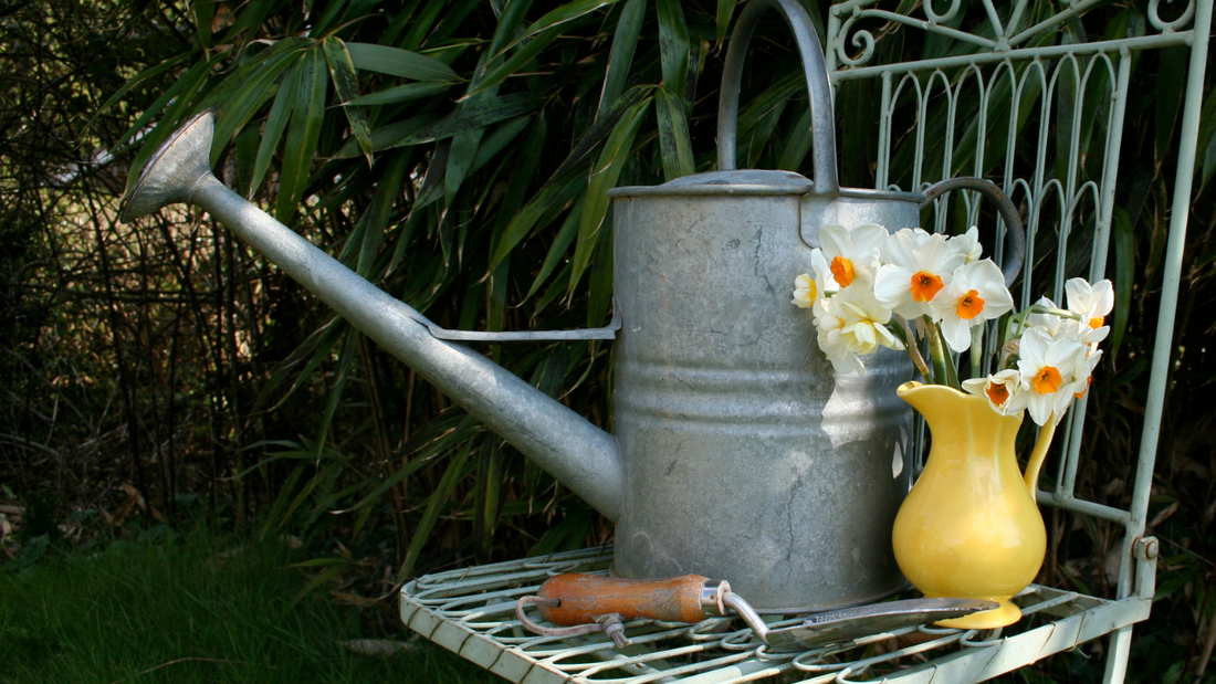 WATERING CAN