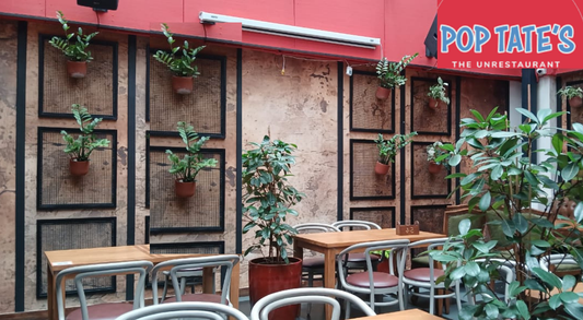 Best Low-Maintenance Indoor Plants for Restaurant Interiors in India