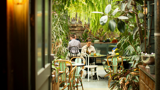 Restaurant Plantscaping | Planning and Execution