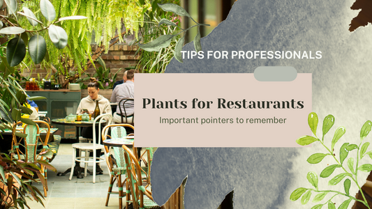 Transform Your Restaurant Designs with Plant-Scaping Magic!