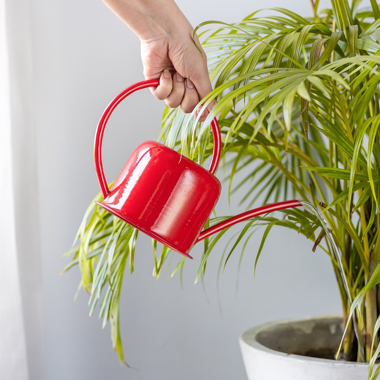 Unloved Red Watering Can (1 ltr)