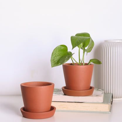 Sakora Terracotta Pots (Set of 2)