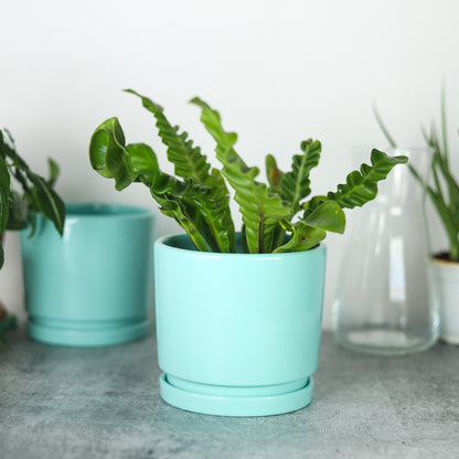 Teal Blue 5.5" Ceramic Pot