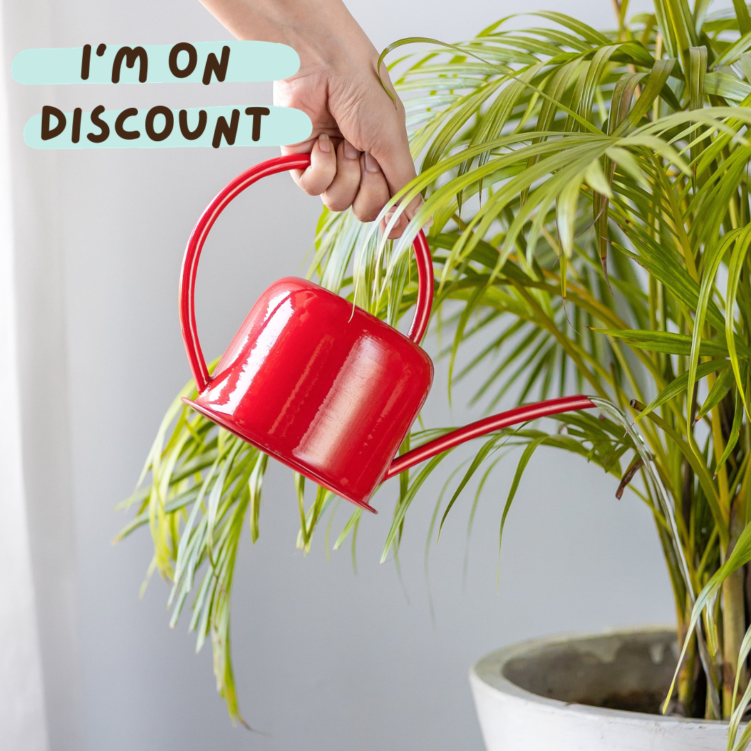 Unloved Red Watering Can (1 ltr)