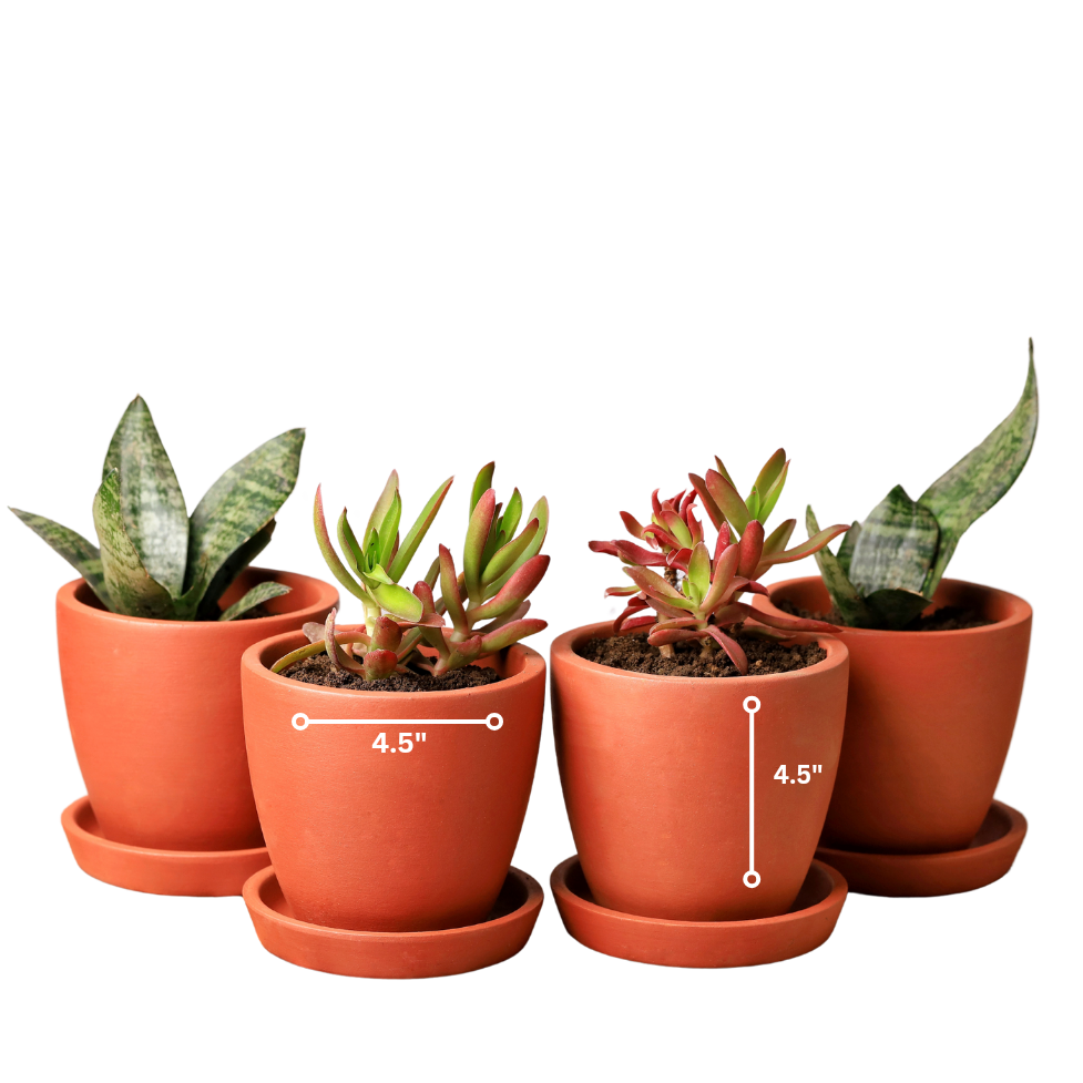 Kullad Terracotta Planters (Set of 4)