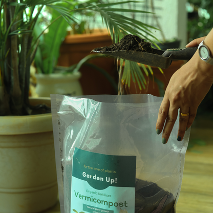 Vermicompost (Organic fertiliser)