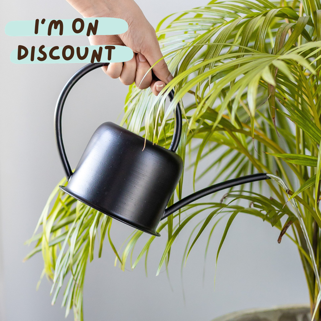 Unloved Matte Black Watering Can