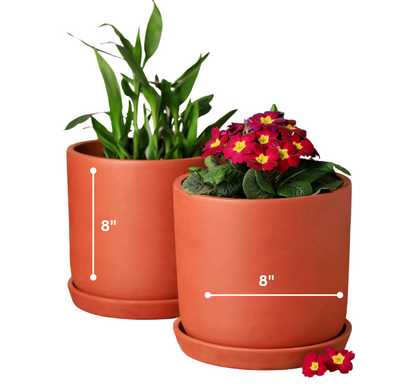 Sage Terracotta Planters (Set of 4)