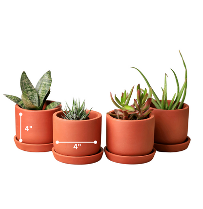 Sage Terracotta Planters (Set of 4)