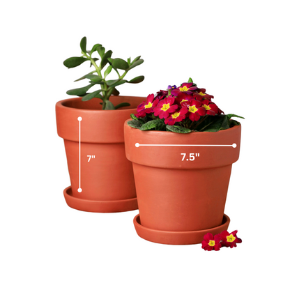 Traditional Terracotta Planters (Set of 4)