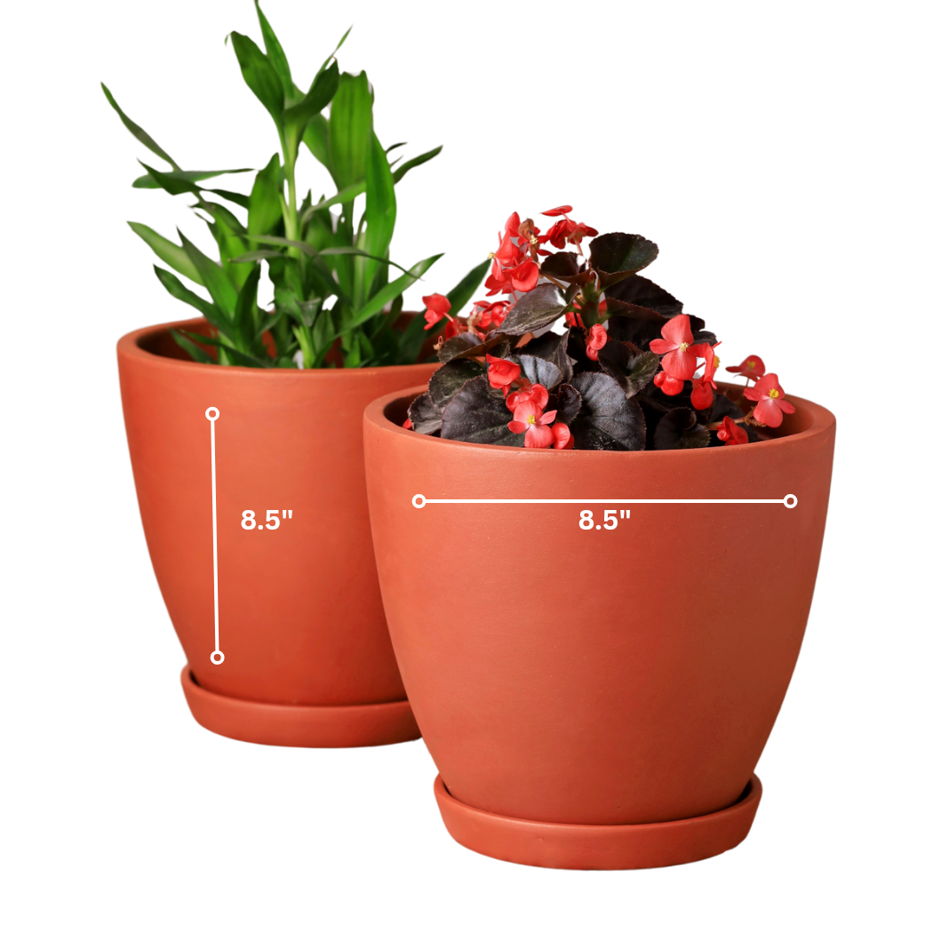 Kullad Terracotta Planters (Set of 4)