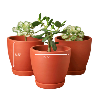 Kullad Terracotta Planters (Set of 4)