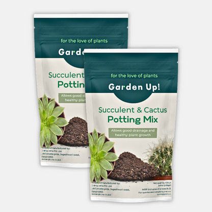 Succulent & Cactus Potting Mix