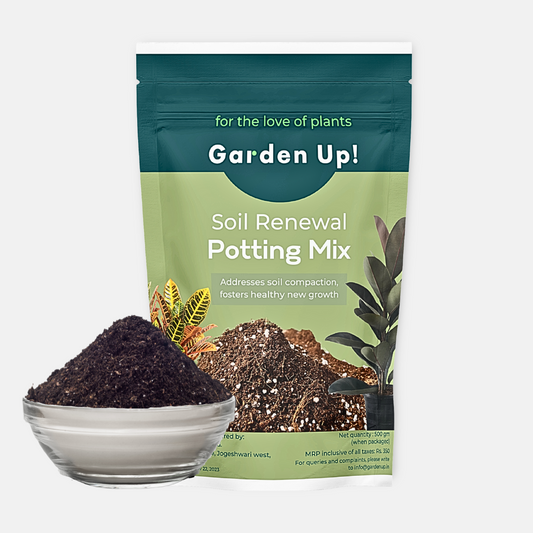 Soil Renewal Potting Mix