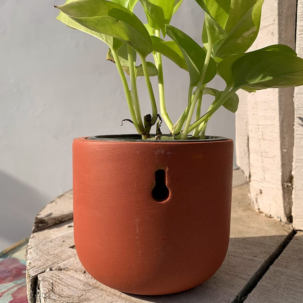 Wall Mount Terracotta Pots