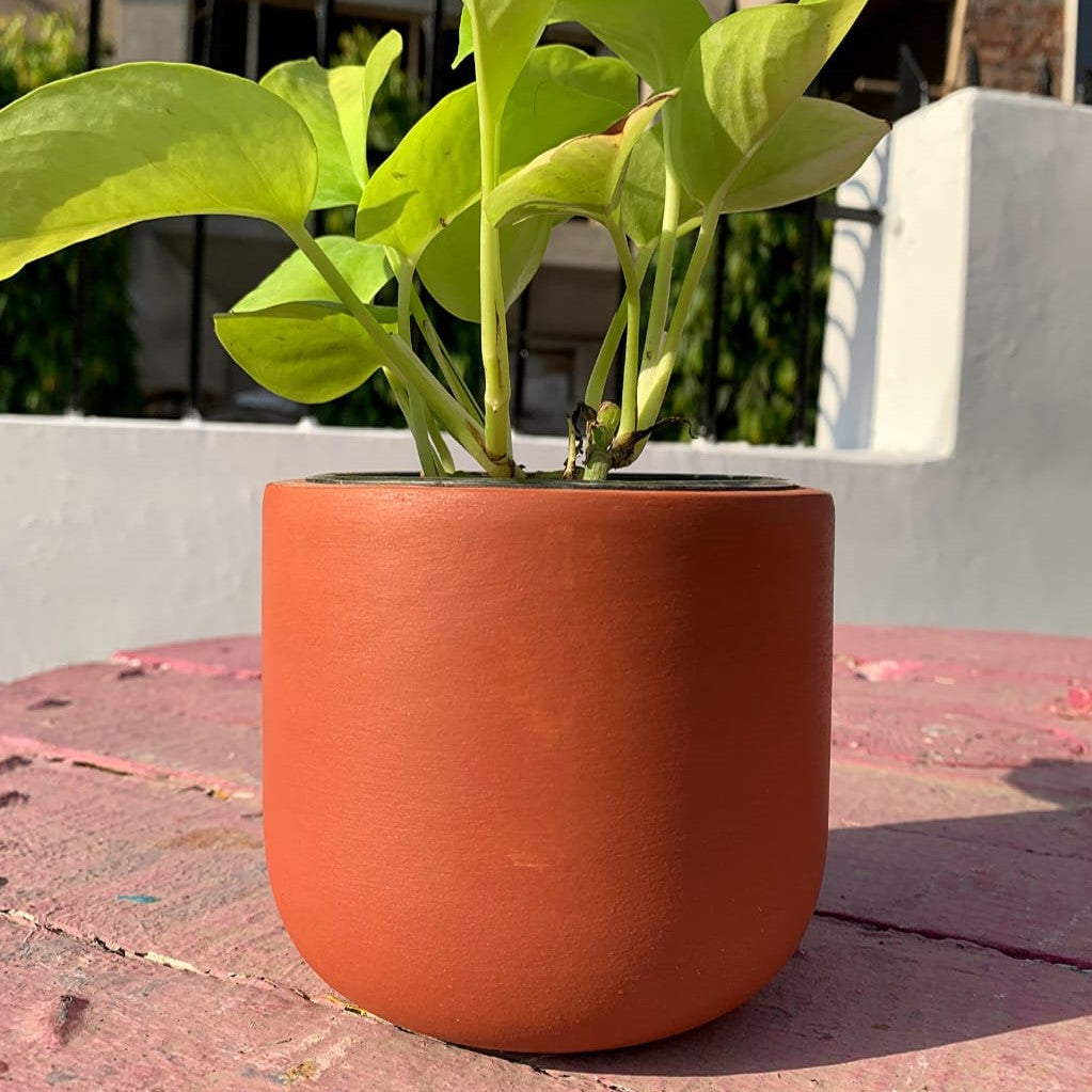 Wall Mount Terracotta Pots