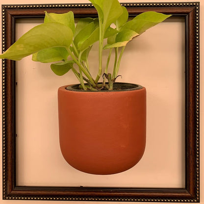 Wall Mount Terracotta Pots