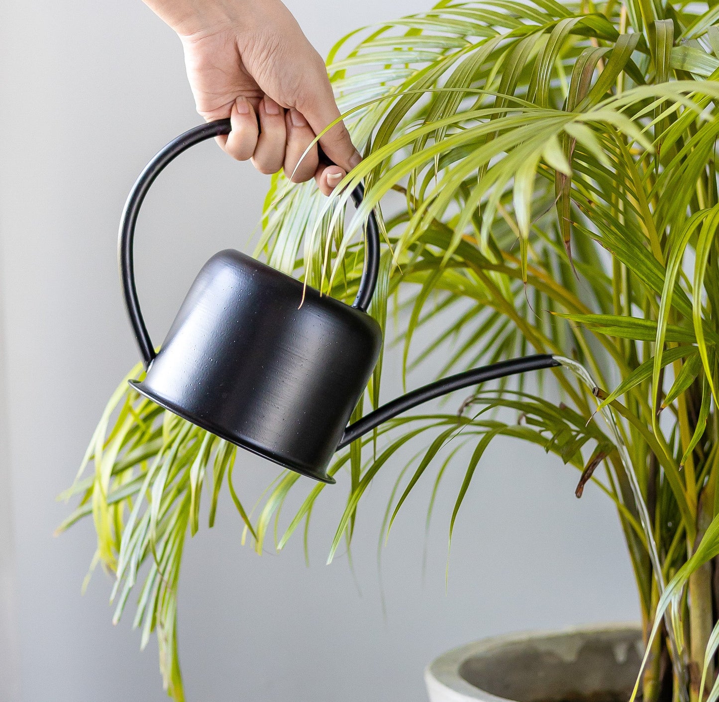 Unloved Matte Black Watering Can