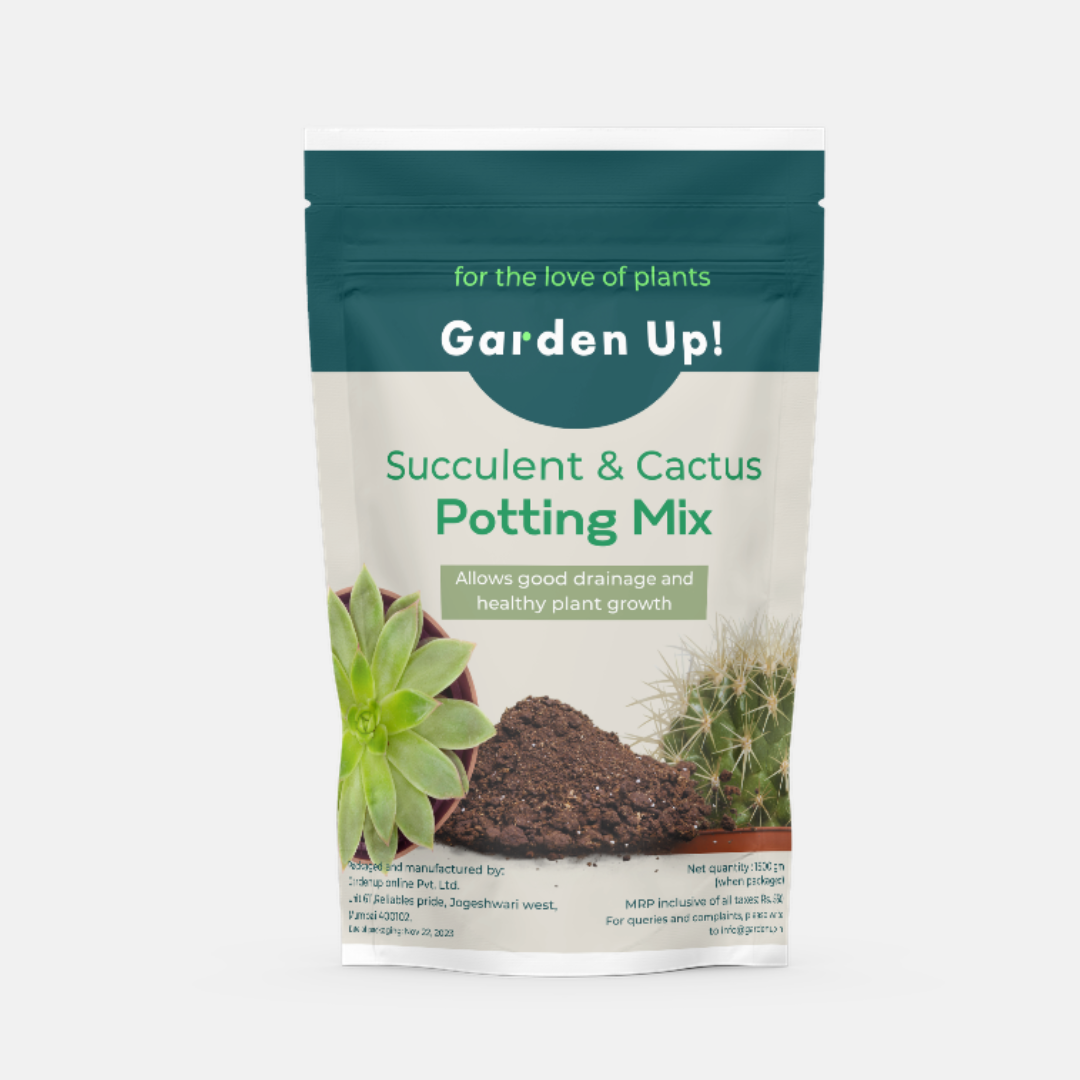 Succulent & Cactus Potting Mix