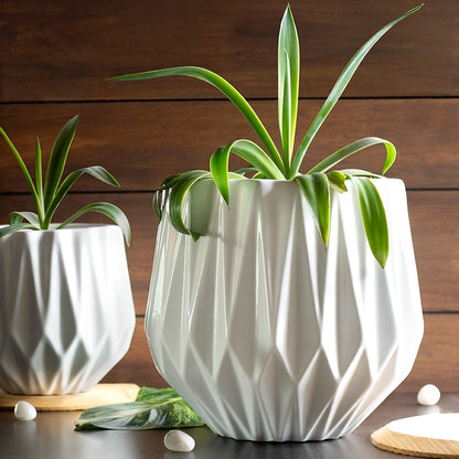 White Edgy Planter