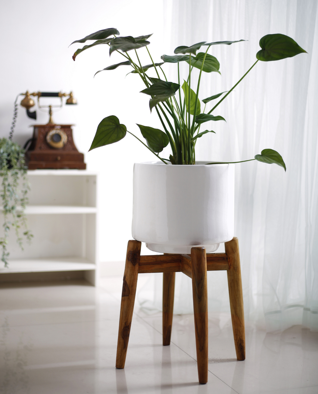 Minimal Style Planter with Stand