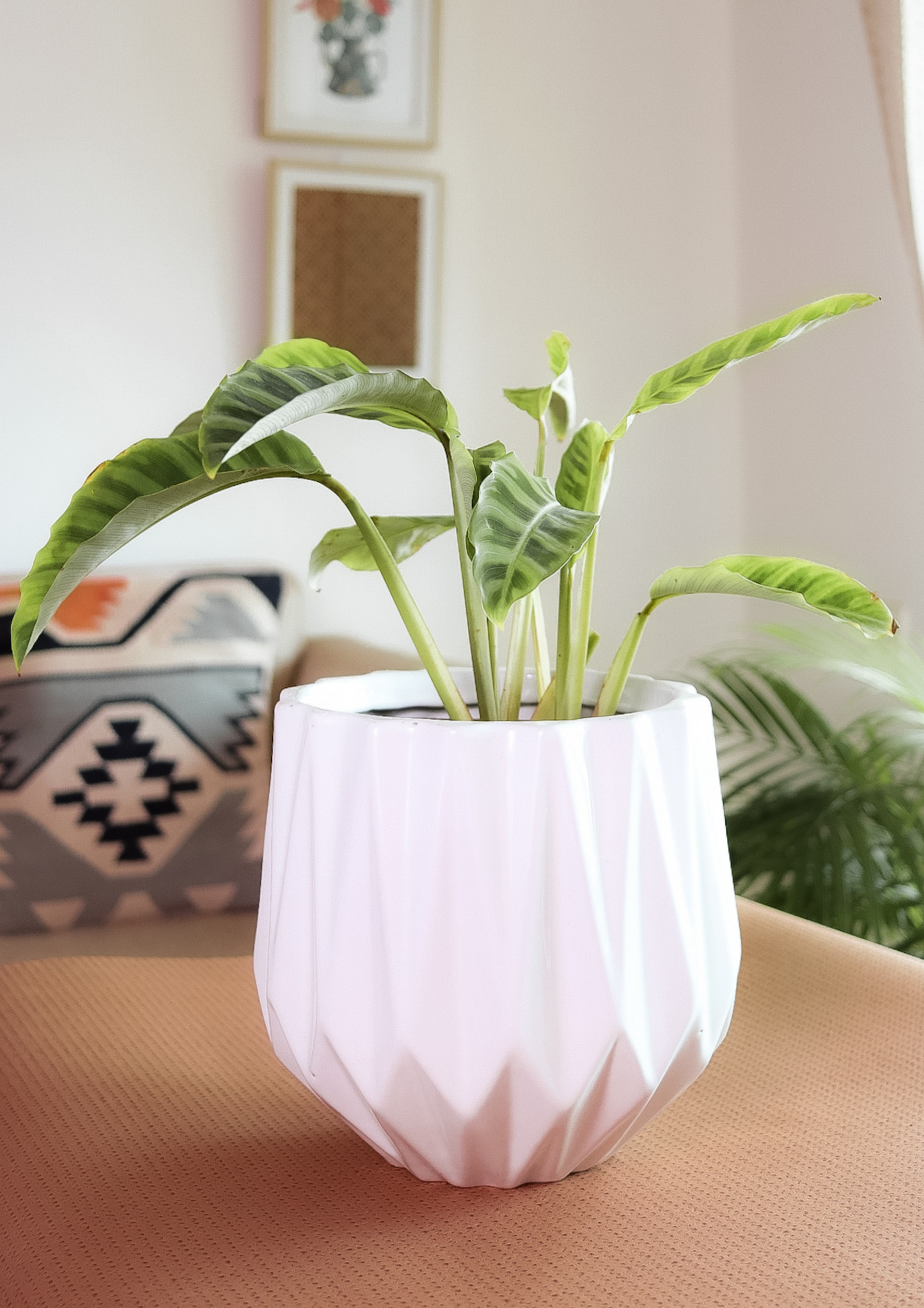 White Edgy Planter