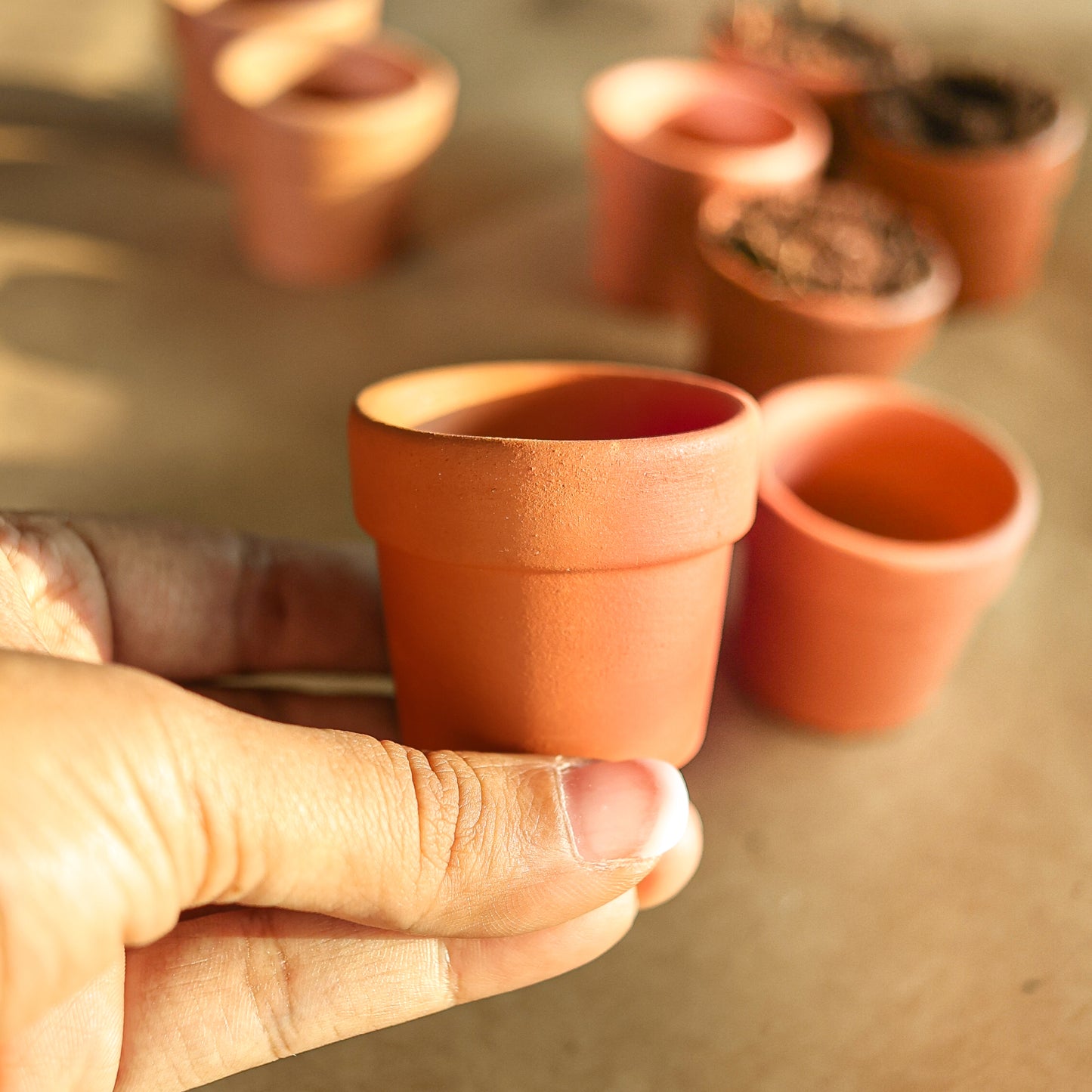 Miniature Seedling Terracotta Pots (Set of 12)