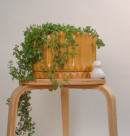 Corrugated Planter (Sandal)