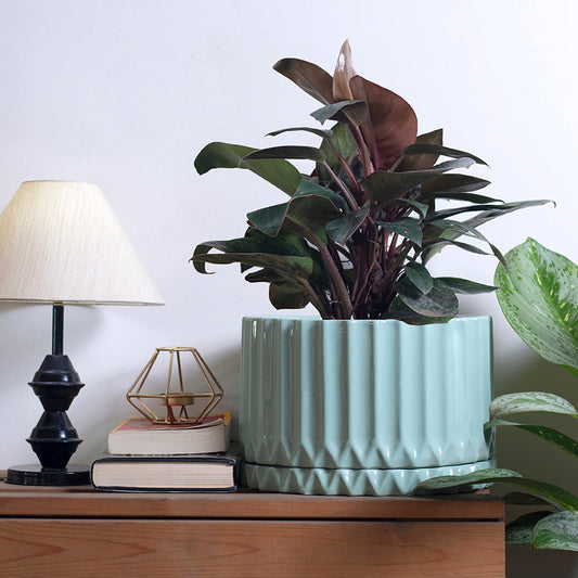 Corrugated Planter (Aqua)