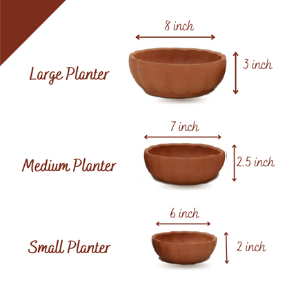 Inverted Dome Terracotta Planters (Set of 3)