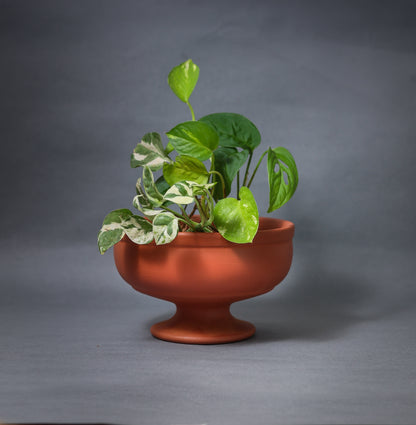 Cognac Terracotta Planters (Set of 3)