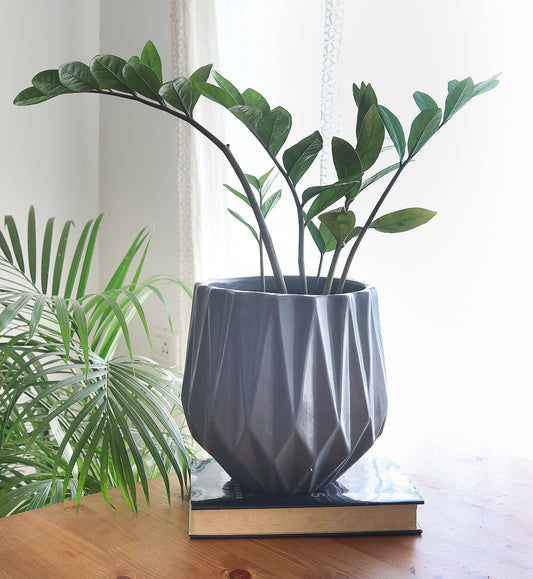 Grey Edgy Planter