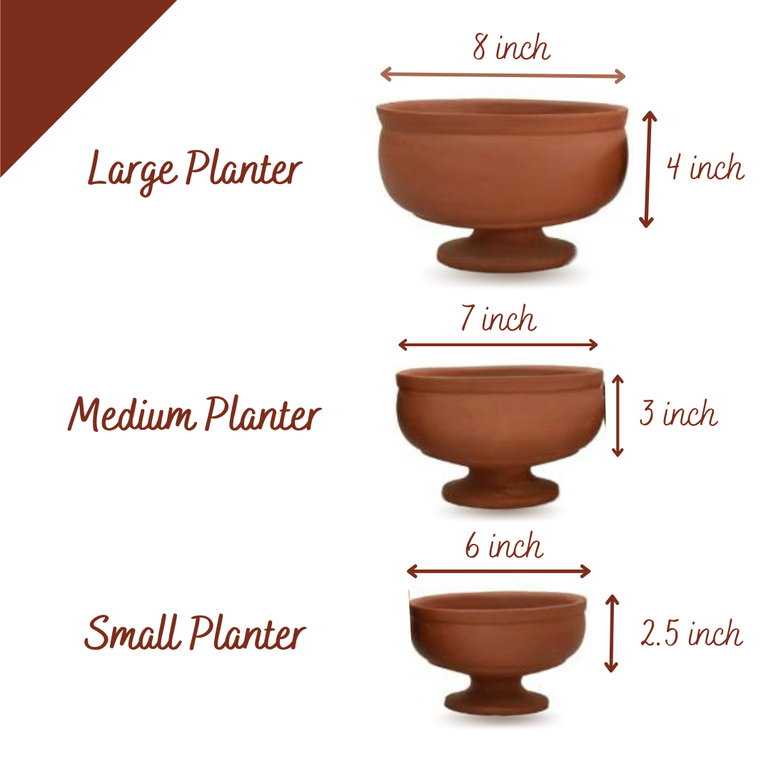 Cognac Terracotta Planters (Set of 3)