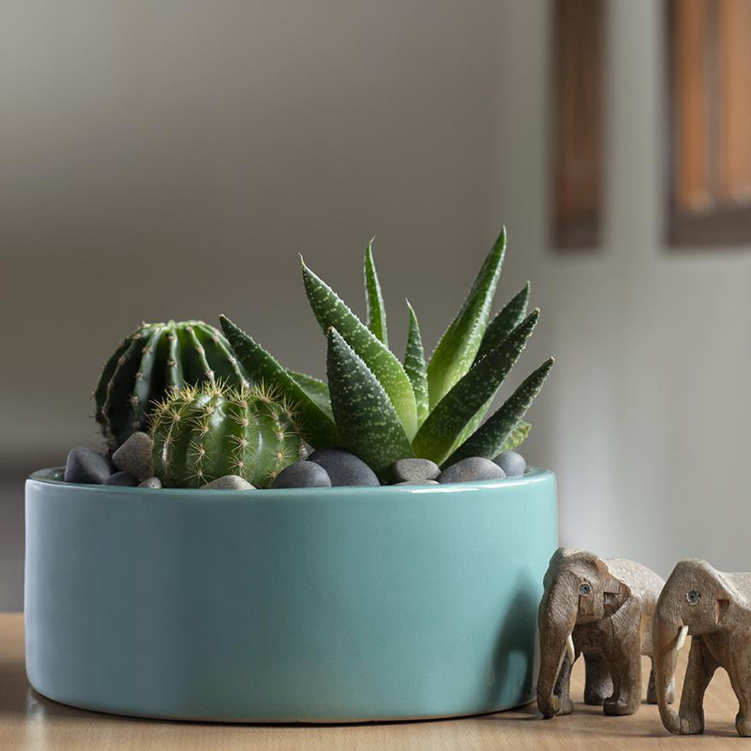 Vinck Flat Bowl Planter