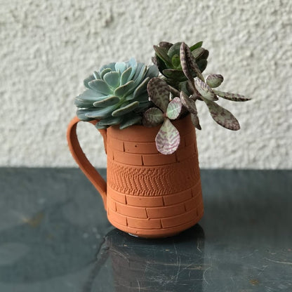 Pitcher Terracotta Planters (Set of 4)