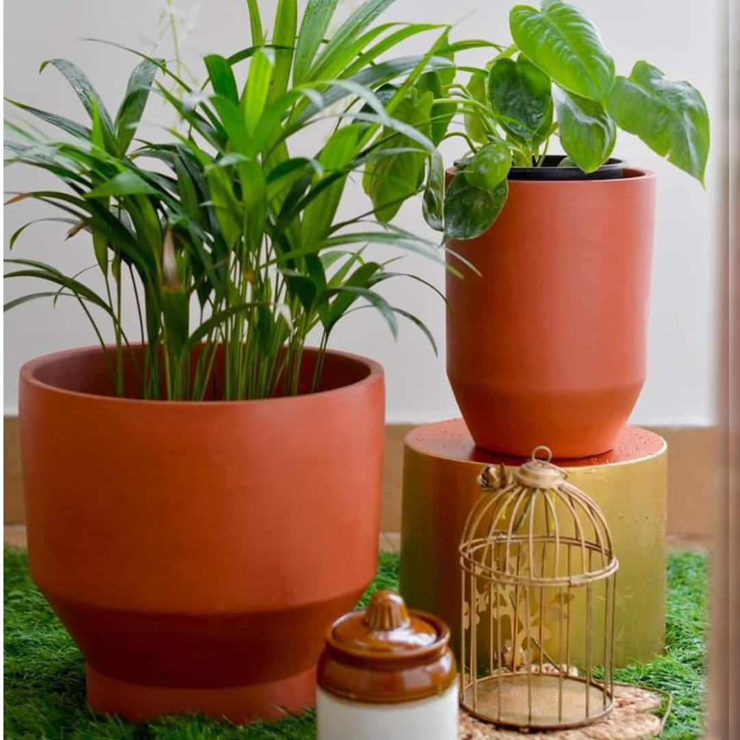 Tulip Terracotta Planters (Set of 2)